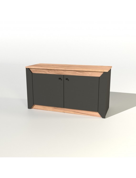 Тумба 2-х дверна закрита Еверест Нордік-980 98х38х53 см Графіт + Дуб крафт золотий (DTM-5526)