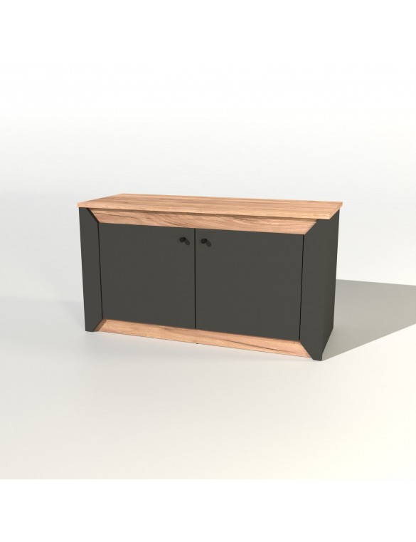 Тумба 2-х дверна закрита Еверест Нордік-980 98х38х53 см Графіт + Дуб крафт золотий (DTM-5526)