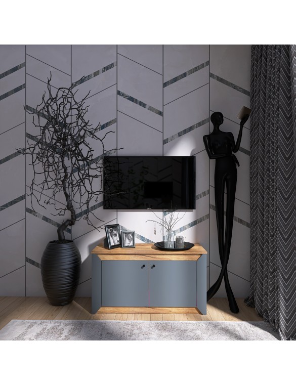 Тумба 2-х дверна закрита Еверест Нордік-980 98х38х53 см Графіт + Дуб крафт золотий (DTM-5526)