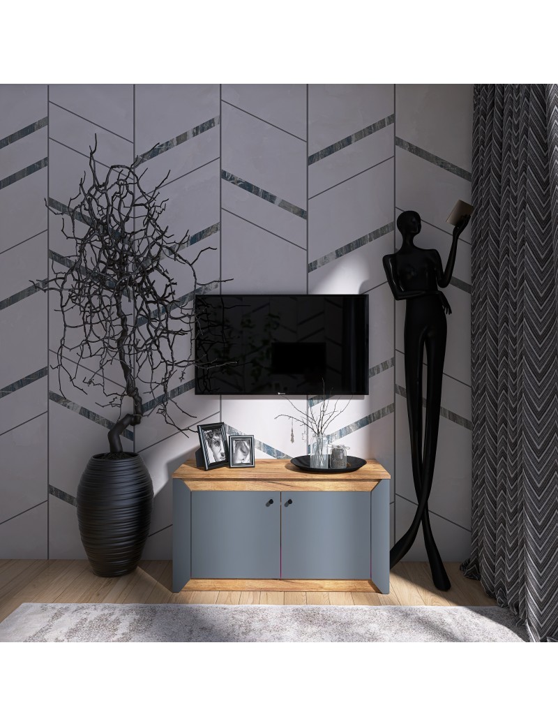 Тумба 2-х дверна закрита Еверест Нордік-980 98х38х53 см Графіт + Дуб крафт золотий (DTM-5526)