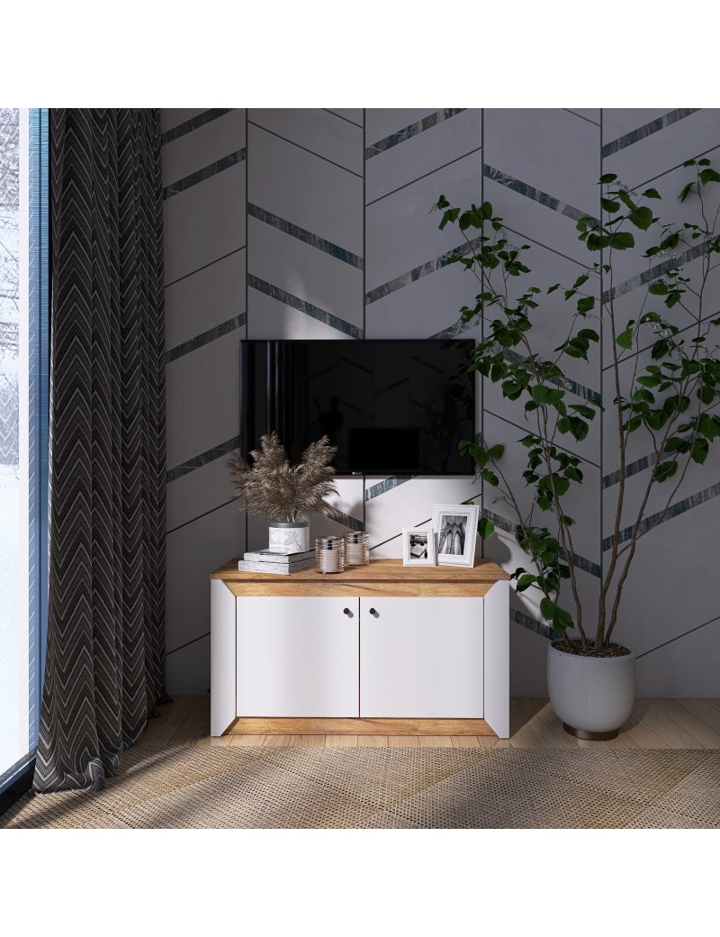 Тумба 2-х дверна закрита Еверест Нордік-980 98х38х53 см Білий + Дуб крафт золотий (DTM-5525)