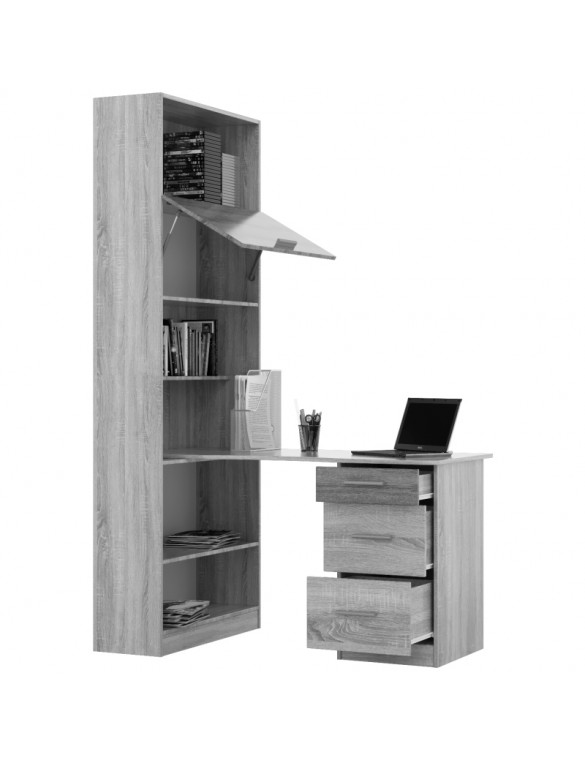 Комп'ютерний стіл з шафою Еверест Гранд венге + дуб молочний (DTM-2151)