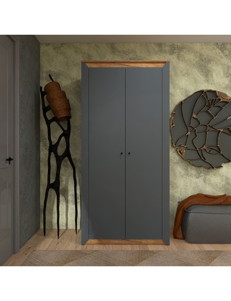 Шафа дводверна Еверест Нордік-990 Графіт + Дуб крафт золотий (DTM-5536)