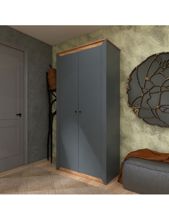 Шафа дводверна Еверест Нордік-990 Графіт + Дуб крафт золотий (DTM-5536)