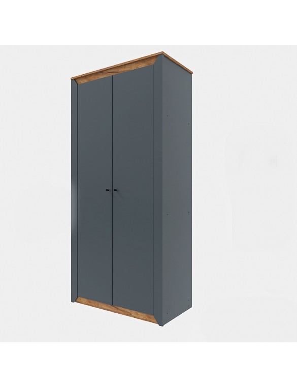 Шафа дводверна Еверест Нордік-990 Графіт + Дуб крафт золотий (DTM-5536)