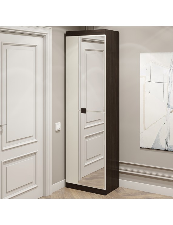 Шафа розпашна Еверест Соната-600 з дзеркалом венге темний + білий (DTM-2635)