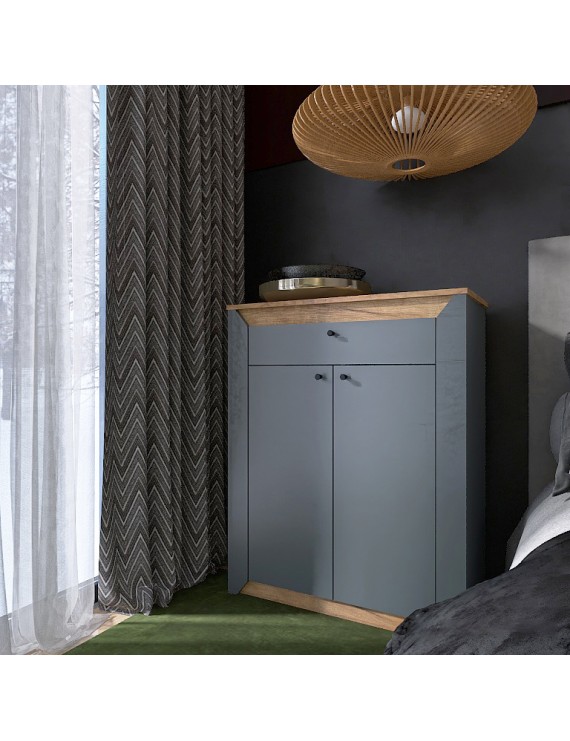 Тумба закрита Еверест Нордік-800 80х38х100 см Графіт + Дуб крафт золотий (DTM-5530)