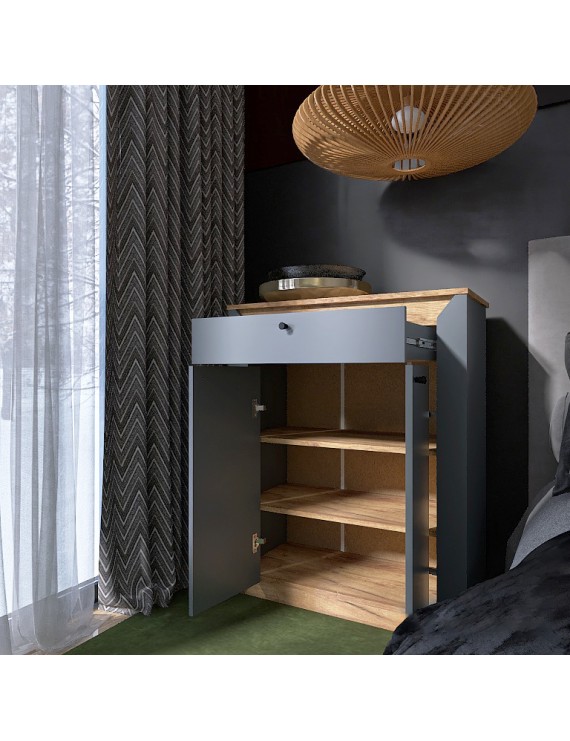 Тумба закрита Еверест Нордік-800 80х38х100 см Графіт + Дуб крафт золотий (DTM-5530)