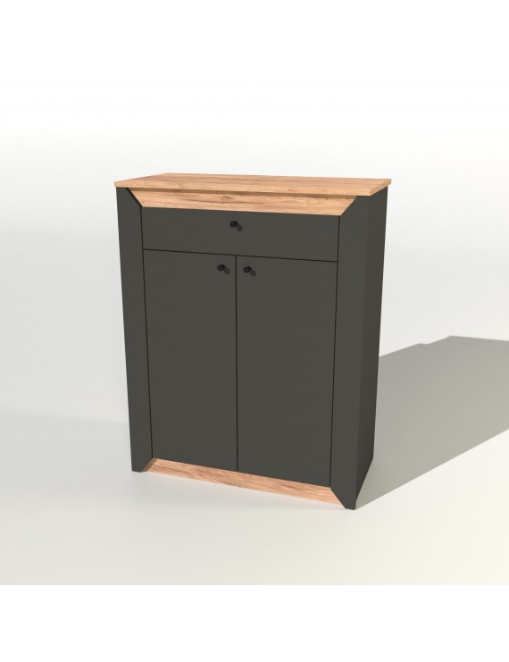 Тумба закрита Еверест Нордік-800 80х38х100 см Графіт + Дуб крафт золотий (DTM-5530)