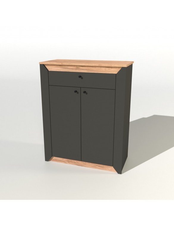 Тумба закрита Еверест Нордік-800 80х38х100 см Графіт + Дуб крафт золотий (DTM-5530)