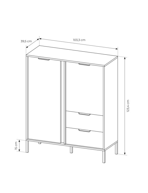 Комод високий Perfect Home Ларс / Lars 2-дверний з 2 шухлядами 2D2S/104 Антрацит (PFH-091020)